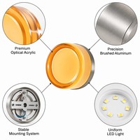 Applique Murale LED Moderne Minimaliste de Luxe, Abat-jour Acrylique, Construction en Aluminium, Intensité Variable, IRC Élevé 90, Température de Couleur 2700K, Ambre/Fumée