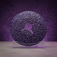 Disque en fibre de 0,8 mm d'épaisseur, grain céramique, pour le polissage du métal, du caoutchouc, du verre et de l'inox
