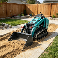 Chargeuse compacte sur pneus avec moteur diesel, direction hydraulique et godet frontal pour la construction, l'agriculture et l'aménagement paysager