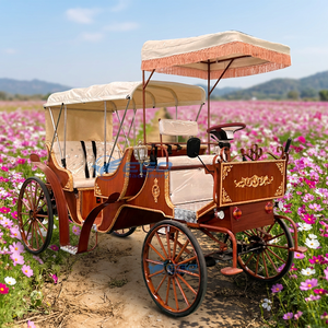 Chariot de Cendrillon populaire pour mariage - Chariot moderne de luxe en métal pour touristes avec couleur et taille personnalisables - Product Image 1