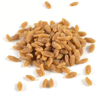Raisin artificiel en plastique, imperméable et durable, accessoire de présentation pour la photographie culinaire, la décoration de la maison et de la cuisine, et les fournitures pédagogiques scolaires