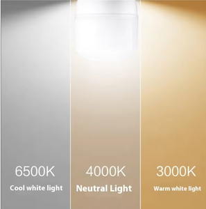 <span class=keywords><strong>Ampoule</strong></span> LED <span class=keywords><strong>PHILIPS</strong></span> Trueforce Core HB E27 E40 24W30W40W50W65W80W pour éclairage Highbay et Lowbay, <span class=keywords><strong>ampoule</strong></span> Highbay <span class=keywords><strong>PHILIPS</strong></span> - Product Image 6