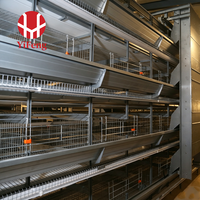 Système de cages à poules pondeuses de type H durable pour 200 poules pondeuses, élevage avicole, production commerciale d'œufs