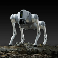 Robot Perro Cuadrúpedo Mecánico Inteligente Personalizable de Gran Tamaño para Educación, Servicio Científico y Equipamiento