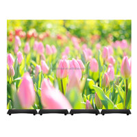 Poster LED AOYI P1.53 P1.86 P2 P2.5 Verticale Portatile Senza Cornice Schermo Pubblicitario a LED con Controllo WIFI