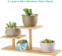 Chenzhu moderne décor à la maison vitré présentoir décoratif fleurs couronne et plantes étagère de rangement plante Pot support support de rangement