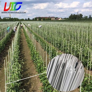 Piquets Offre Spéciale en <span class=keywords><strong>fibre</strong></span> <span class=keywords><strong>de</strong></span> <span class=keywords><strong>verre</strong></span> avec protection UV Tuteurs en <span class=keywords><strong>fibre</strong></span> <span class=keywords><strong>de</strong></span> <span class=keywords><strong>verre</strong></span> haute résistance Piquets <span class=keywords><strong>de</strong></span> jardin en <span class=keywords><strong>fibre</strong></span> <span class=keywords><strong>de</strong></span> <span class=keywords><strong>verre</strong></span> - Product Image 5