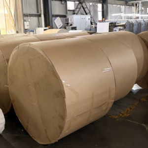 Rouleau de papier enduit de PE en gros pour usine, rouleau jumbo, taille personnalisée, matière première pour la fabrication de produits alimentaires en papier - Product Image 4