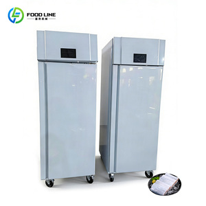 خزانة تبريد وفك تجميد الطعام، خزانة فك تجميد صناعية، خزانة فك تجميد لمعالجة الأغذية - Product Image 4