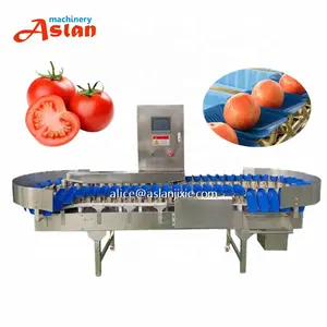 automatic feeding tomato 100g weighting grader/ fruit tomato hopper tray weighing scale online sorting machine