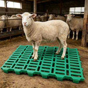 Équipement d'élevage agricole : Panneau de sol en plastique <span class=keywords><strong>à</strong></span> lattes pour moutons, chèvres, porcs, planche de drainage des excréments, <span class=keywords><strong>filet</strong></span> de drainage pour enclos animalier - Product Image 5