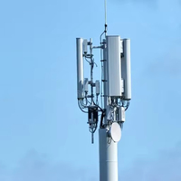 Fournisseur de poteaux simples galvanisés à chaud pour les réseaux de télécommunications et cellulaires en extérieur