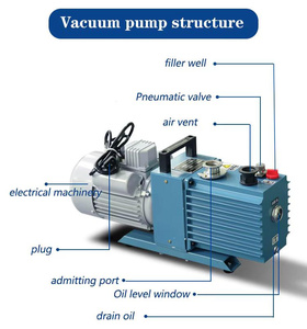 Moins de consommation d'énergie, utilisation domestique, 4 plateaux, 0,4 m2, petite machine de lyophilisation avec pompe à vide pour la lyophilisation de la viande d'escargot - Product Image 6