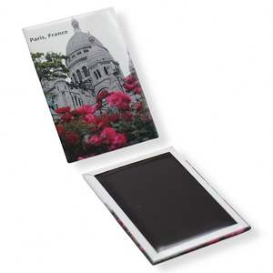 Meilleurs Aimants Décoratifs Souvenirs en Fer Blanc pour Réfrigérateur, Idéaux pour les Boutiques de Souvenirs - Product Image 3