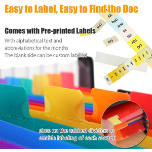 <strong>PP</strong> <strong>Plastic</strong> Large Custom Printed <strong>A4</strong> 24 Pocket Accordion Expanding <strong>File</strong> <strong>Folder</strong> Organizer for <strong>Office</strong> Supplie - Product Image 2