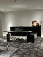 Bureau de direction moderne et simple, style Taipan, luxe léger, réglable en hauteur, avec plateau supérieur en bois, modèle 2025 Fashion Boss.