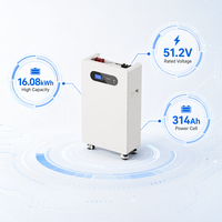 Système de stockage d'énergie solaire sur roues NEVO SOLAR 16,08 kWh LiFePO4 51,2 V 314 Ah compatible avec les onduleurs domestiques