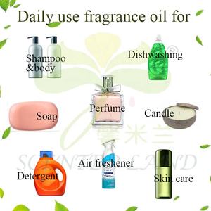 Parfum de pomme personnalisé OEM pour bougies parfumées Haute stabilité à la chaleur 80-120 ° Kit d'essai conforme à la norme IFRA de 50 kg, livraison rapide - Product Image 2