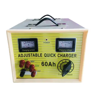 Ayar kurşun asit AGM jel 60 Amp 12 Volt hızlı şarj Ac Dc araba pil şarj cihazı 12 V 24V 36V 48V 60A şarj cihazı