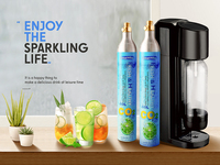 Cylindre de CO2 pour machine à soda 0,6 L, facile à utiliser, réservoir de CO2 de qualité alimentaire pour usage commercial dans les bars et restaurants