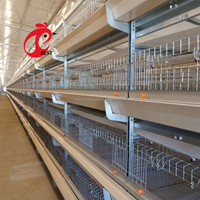 Cages pour volailles pondeuses d'occasion pour 3 poules avec cages à poulets Couche d'oeufs à vendre