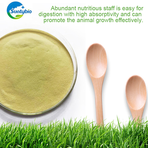 Chiết Xuất Nấm Men (Saccharomyces Cerevisiae) - Product Image 4