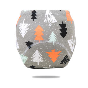 Pañales Reutilizables y Lavables para Bebé, Pantalones Ecológicos para el Entrenamiento para Ir al Baño, Pañal de Tela Impermeable de Algodón - Product Image 5