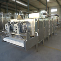 Secadora Industrial TEK Machinery para Yuca, Chile y Pimiento, Máquina Secadora de Banda de Malla de Aire Caliente