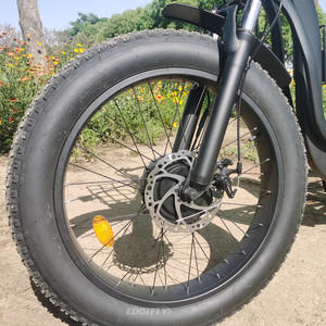 Prix usine 3 roues vélo 48V 750W trois roues adulte cargo vélo électrique avec panier - Product Image 2