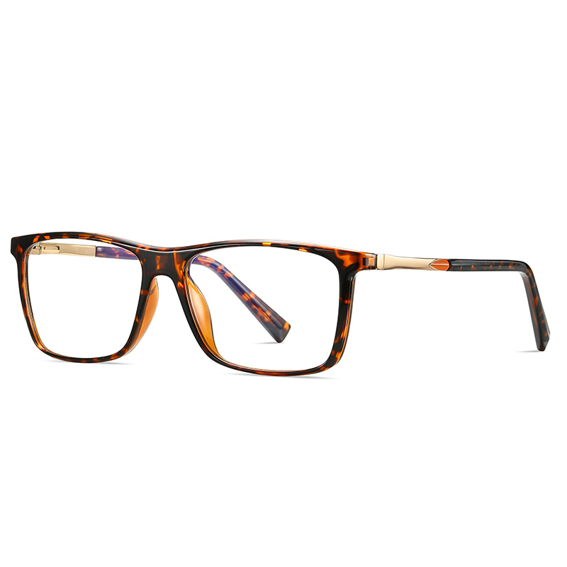 C2 Tortoiseshell