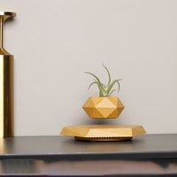 FP059 Lévitation Magnétique Bonsaï Plante Flottante En Bois Pots De Lévitation Magnétique Pour Plantes Lévitation Pot De Fleur