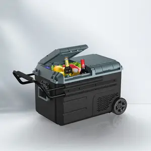 WAYCOOL WEG45 38L High Efficiency Portable Car Refrigerator Mini Compressor Fridges With Compressor
