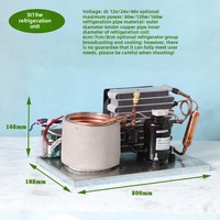 Mini Micro Laser Beauté 12V24V48V Distributeur D'eau Froide Refroidisseur Refroidisseur D'eau Crème Glacée