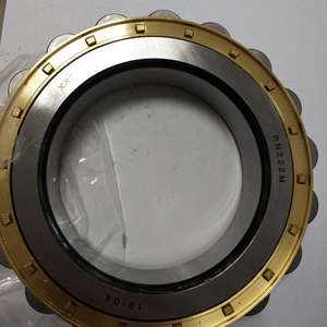 Roulements à rouleaux cylindriques excentriques RN307 RN307M RN307E RN307EM pour convoyeurs et machines industrielles lourdes - Product Image 6