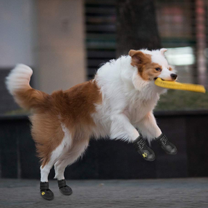 Zapatos para Perro Personalizados, Cómodos, Económicos, de Malla, con Diseño de Moda, Protección para Patas en Invierno, con Botines de Goma - Product Image 5