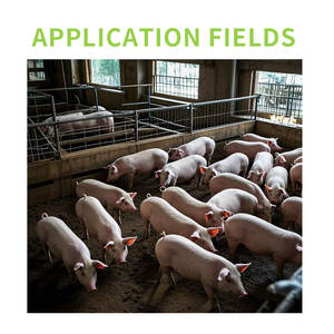 Potenciador del crecimiento de cerdos Aditivos alimentarios mixtos Fitosterol Picolinato de cromo Promotor de engorde y crecimiento - Product Image 3