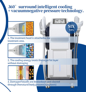Appareil de cryolipolyse amincissant 360 2 en 1, <span class=keywords><strong>cryo</strong></span>-EMS pour la réduction de la graisse et le remodelage corporel, machine amincissante pour salon de beauté - Product Image 5