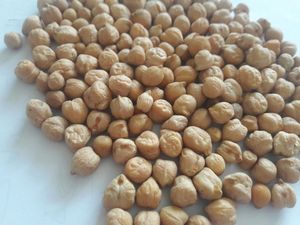 Kualitas Premium dan Menjual Panas 7Mm-9Mm Kabuli Kacang untuk Grosir
