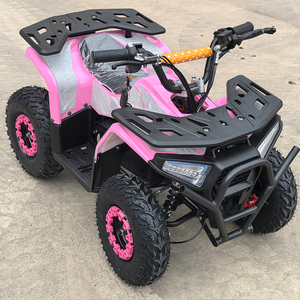 <span class=keywords><strong>Quad</strong></span> électrique pour enfants <span class=keywords><strong>48V</strong></span> <span class=keywords><strong>1000W</strong></span>, batterie 12AH, pneus tubeless de 6 pouces, amortisseurs hydrauliques, pas cher - Product Image 2