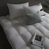 Surmatelas en coton de style hôtel 5 étoiles, épaissi, chaud, respirant, lavable, anti-acariens, antibactérien, usage hospitalier