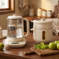 Bouilloire électrique en verre 1,8L + 1,2L avec pot à ragoût en céramique, cuiseur multifonctionnel pour la santé, pour faire bouillir du thé et des soupes, pour usage en cuisine
