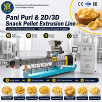 Mesin Pembuat Pani Puri Goreng 2D 3D, Papad Goreng, dan Fryums, Peralatan Pabrik Lini Produksi Ekstrusi Pelet Snack 2D 3D