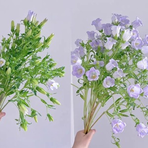 ช่อดอกไม้ผ้าไหม Yunnan Kunming สีม่วงสีขาวสำหรับการจัดบ้านสำหรับตรุษจีน - Product Image 2