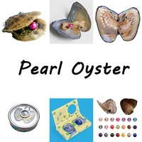 Vente en gros d'huître perlée d'eau douce Shell Wish Oyster avec plusieurs perles de couleurs naturelles