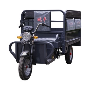 Tricycle électrique cargo personnalisé à <span class=keywords><strong>3</strong></span> <span class=keywords><strong>roues</strong></span> avec siège passager pliable, chargeur robuste, E-Trike pour les marchés d'Amérique et d'Asie - Product Image 1