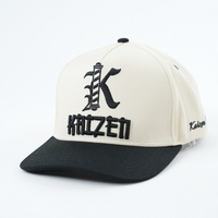 Casquettes de baseball structurées avec logo personnalisé Chapeaux de baseball à panneau dur 5 panneaux Tissu en coton avec broderie