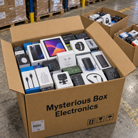 Altoparlante Portatile, Action Camera, Power Bank, Mystery Box Avanzata, Gioco d'Avventura, 5-10 Prodotti Elettronici