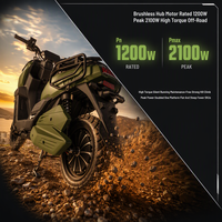 Electric Motorcycle 1000W 1500W 72V 60km/h Dual Hydraulic Disc Brake OEM ODM Factory 120-70-12 Wide Tire CE Sport Racing Adults