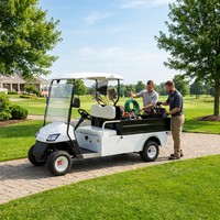 Voiturette de golf électrique 2 places haute performance personnalisable avec batterie 60V et coffre de chargement
