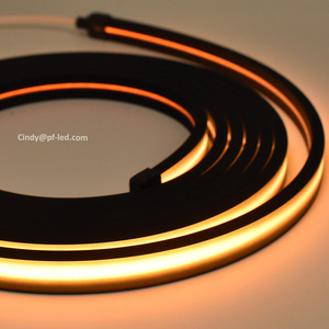 <span class=keywords><strong>Ip65</strong></span> <span class=keywords><strong>Neon</strong></span> <span class=keywords><strong>Flex</strong></span> ánh sáng 5M 24VDC <span class=keywords><strong>Led</strong></span> <span class=keywords><strong>Neon</strong></span> dải đèn 5x13 mét 3000K/4000K/6500K linh hoạt không thấm nước màu đen <span class=keywords><strong>Led</strong></span> <span class=keywords><strong>Neon</strong></span> - Product Image 2